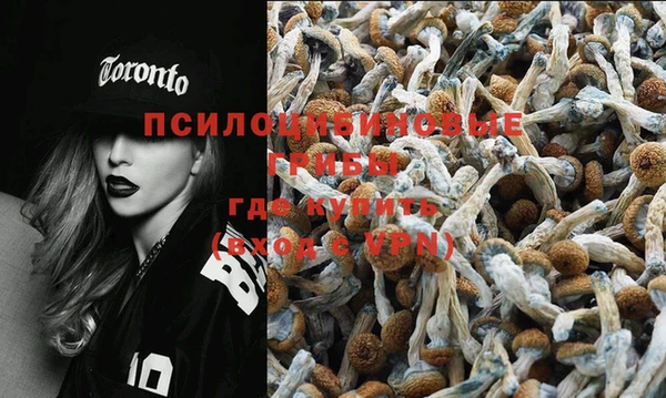 Альфа ПВП Зерноград