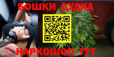 PSILOCYBIN Будённовск