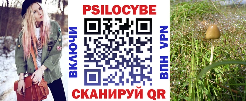 Псилоцибиновые грибы GOLDEN TEACHER Дзержинск