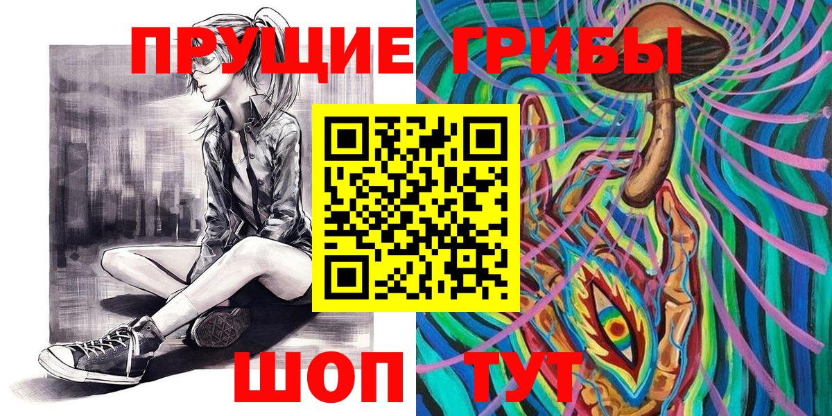 Дзержинск  Галлюциногенные грибы Cubensis  Вход с VPN 